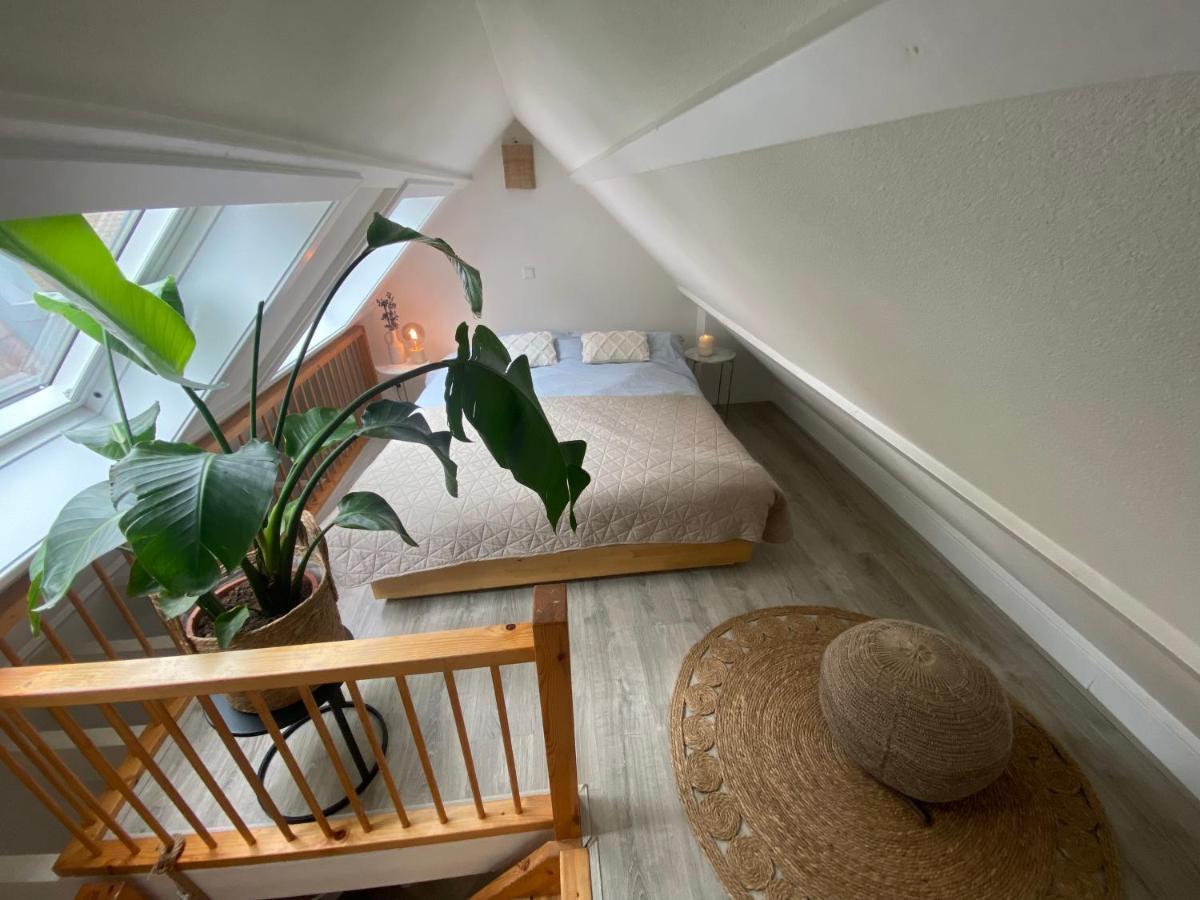 'T Vissershuisje Zandvoort Ngoại thất bức ảnh